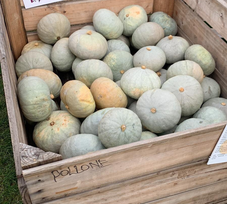 Tulipania-Terno d'Isola必去景点