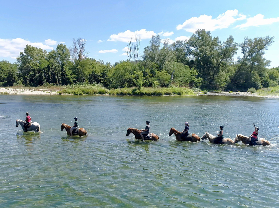 Equitation Chavetourte-Saint-Alban-Auriolles必去景点