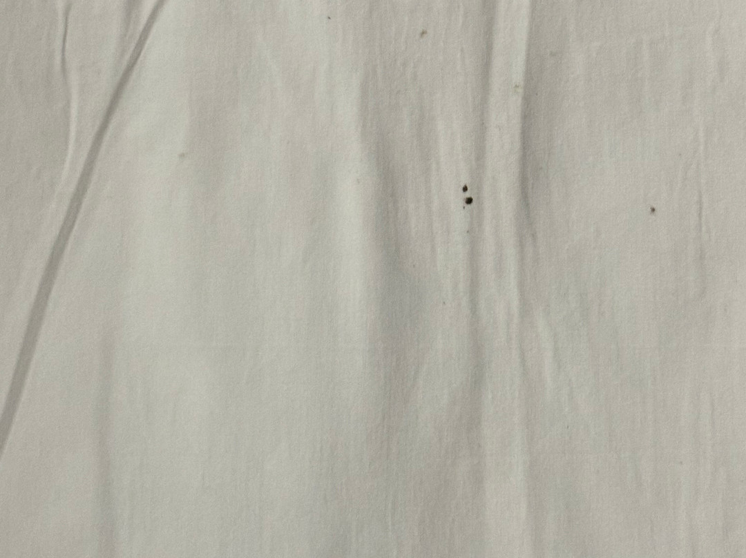 The Lodge at Eagle Crest主图