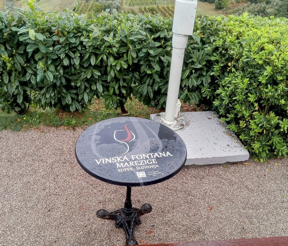 Wine Fountain Marezige景点图片