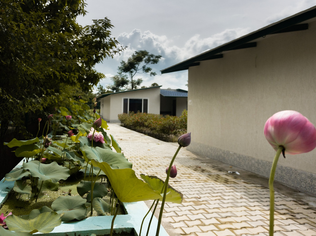 Sukoon - A Wellness Resort主图