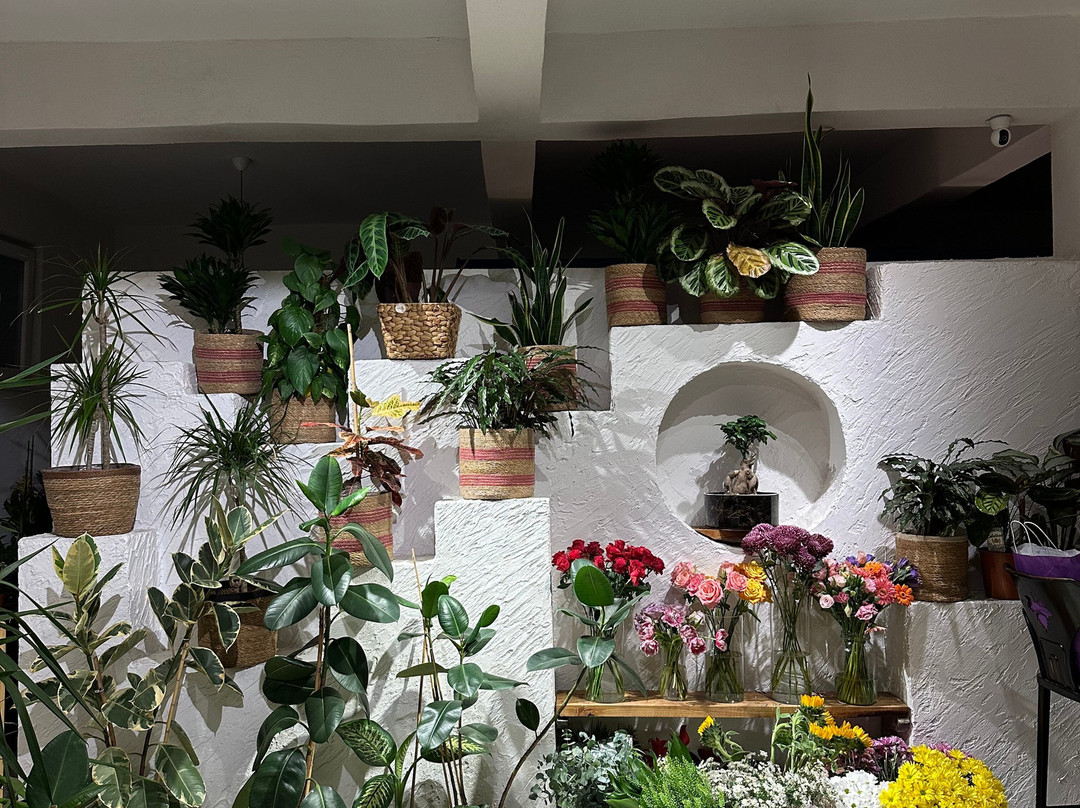 Chloris's Garden景点图片