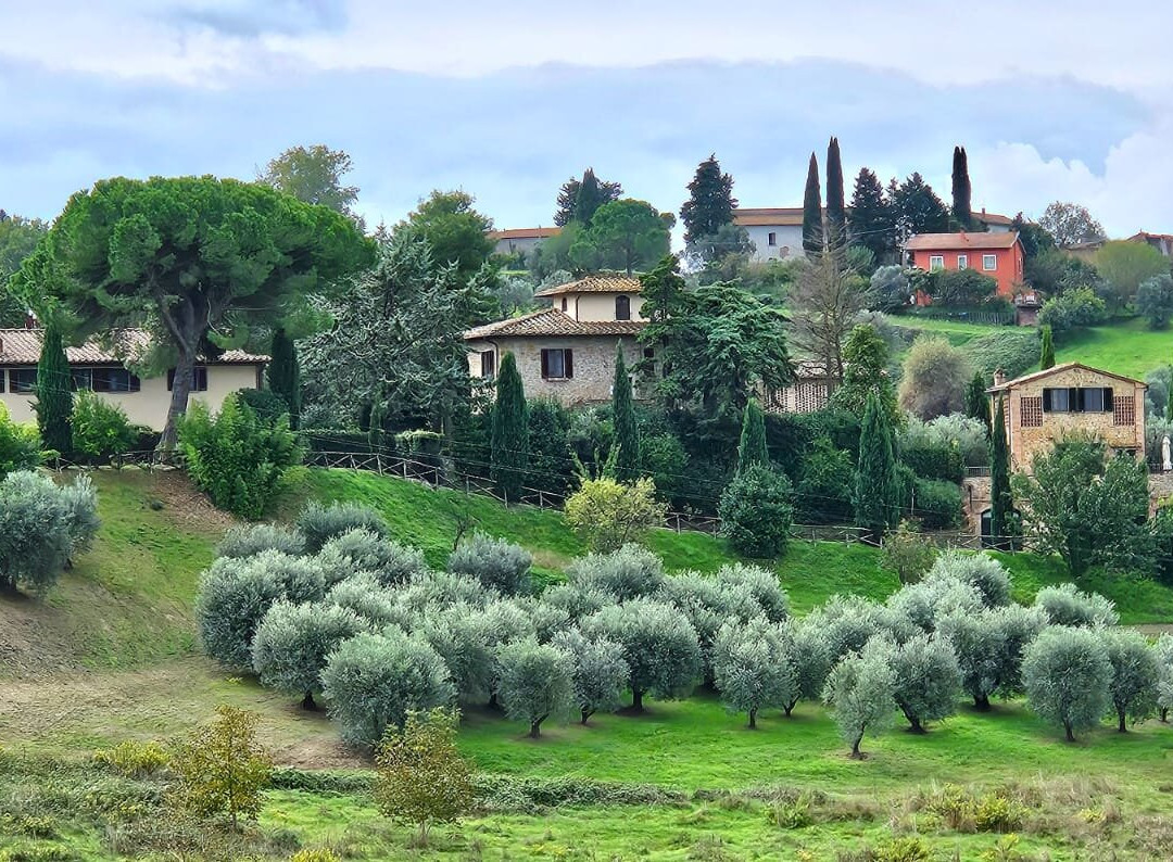 Tenuta delle Rose主图