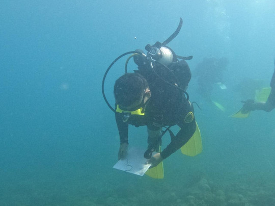 Reef Shepherd-圣玛尔塔必去景点