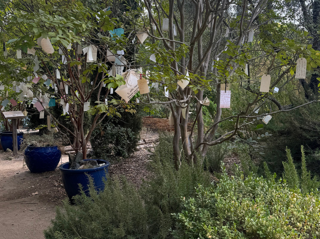 Arlington Garden in Pasadena景点图片