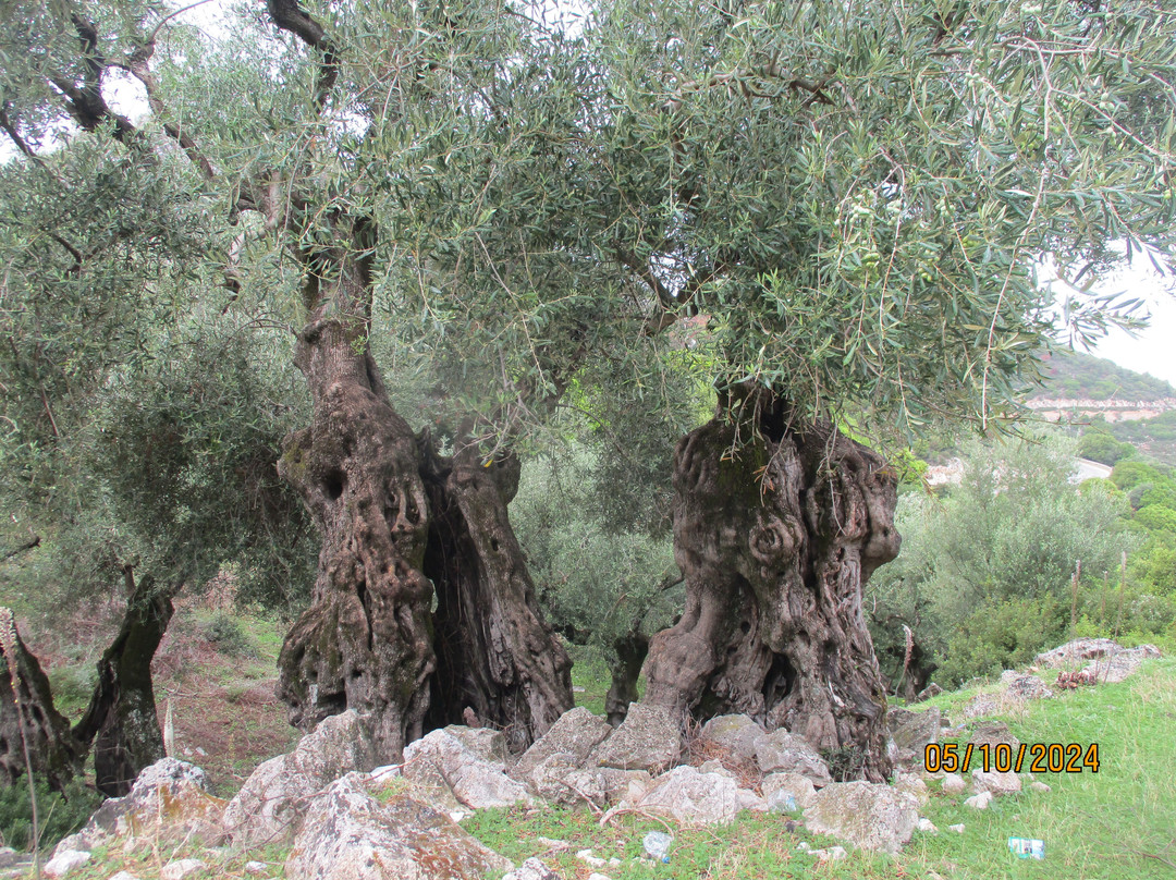 Monastery St. John The Baptist