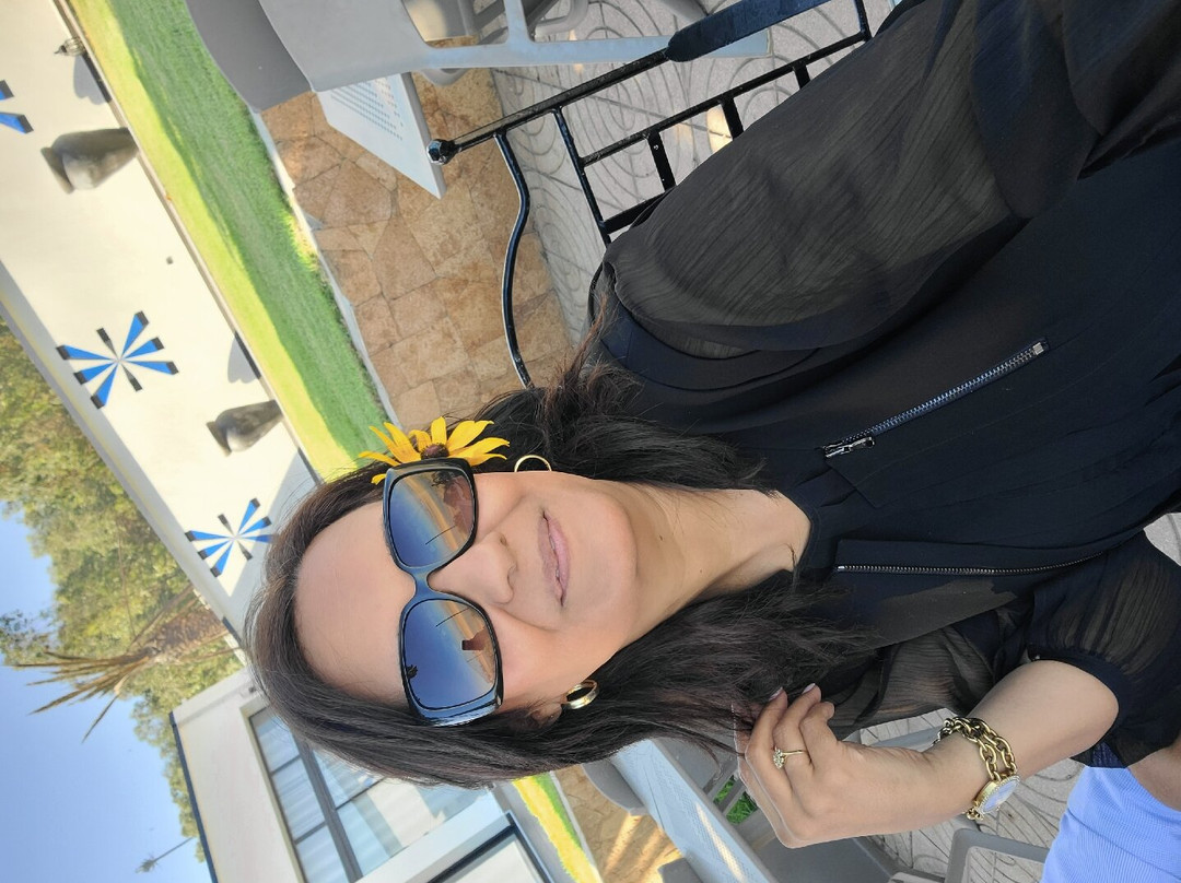 Hôtel L'Hippocampe主图