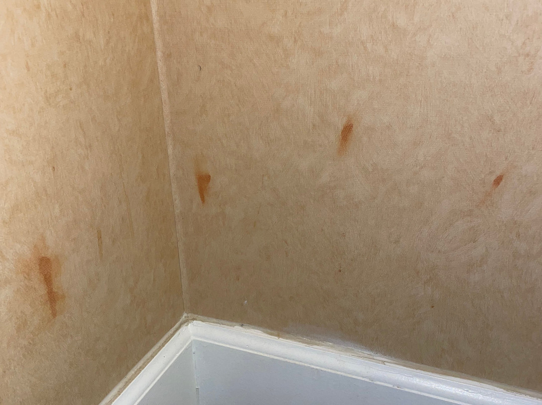 Best Western Plus Placerville Inn主图