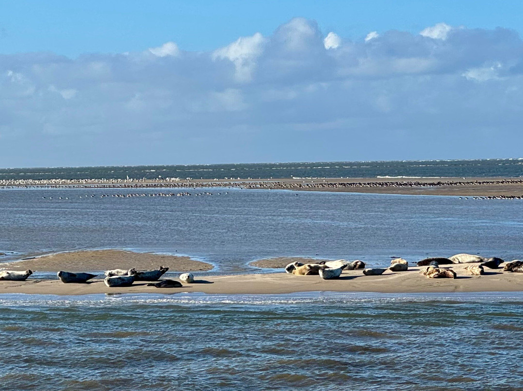 Expeditie Waddenzee景点图片