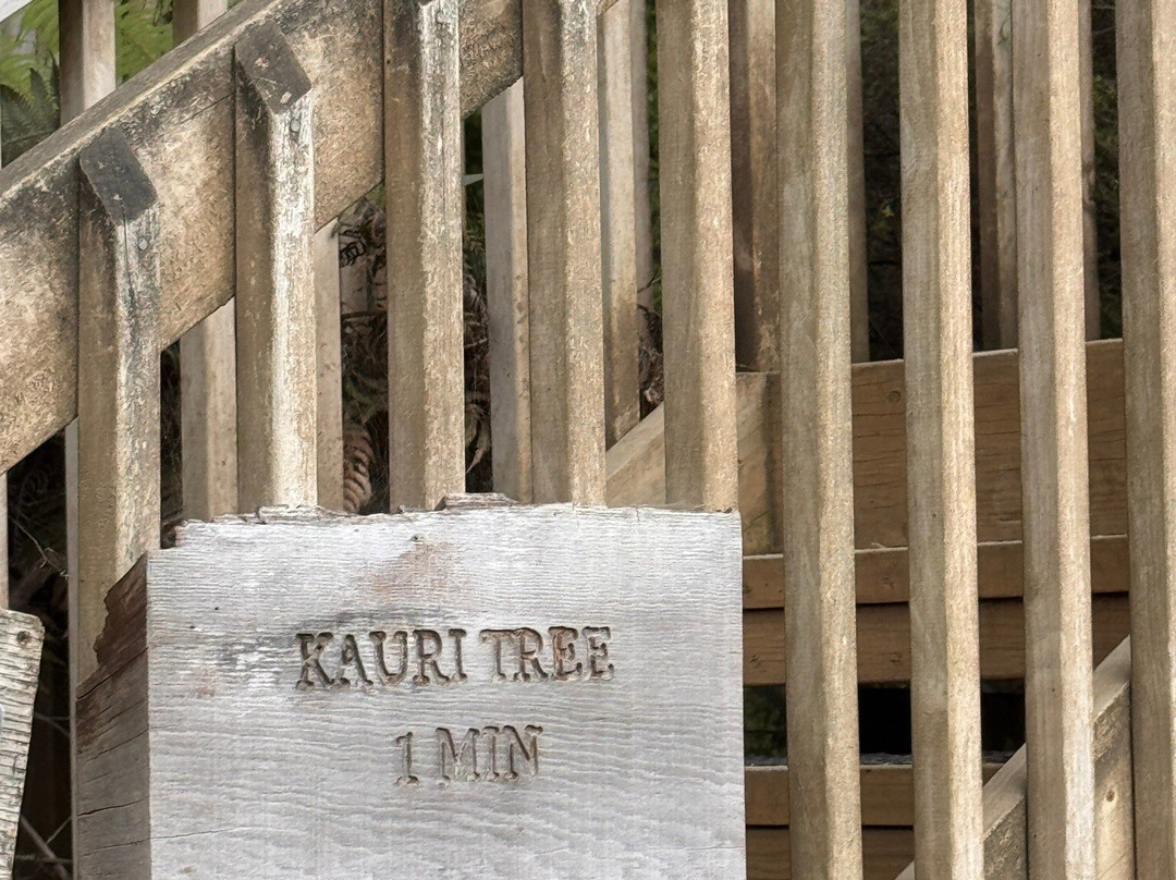 Kauri Cliffs Golf Course景点图片
