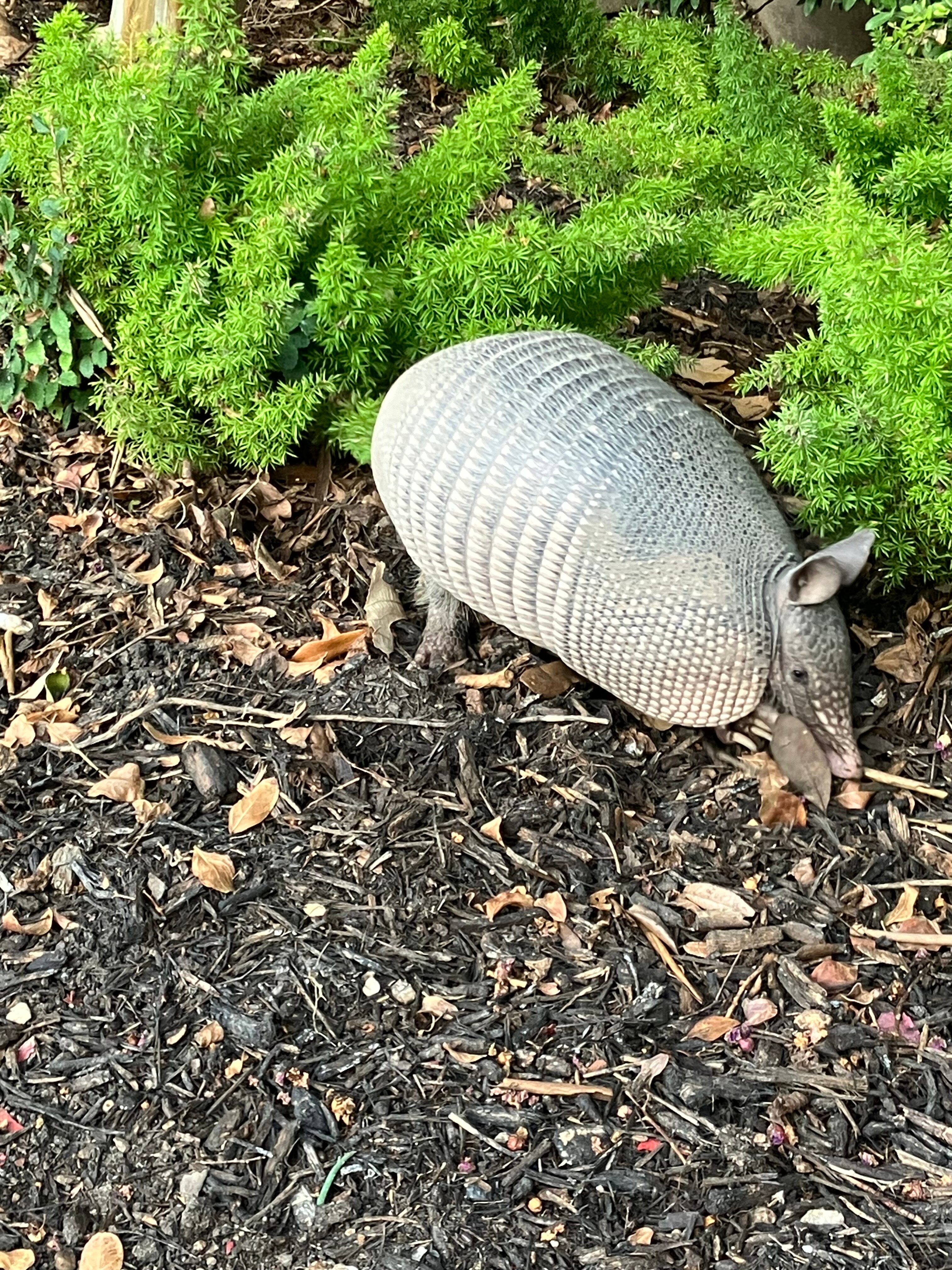 莱克韦温泉度假酒店-浴室