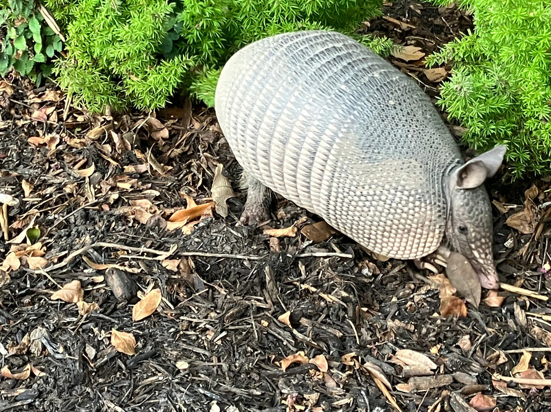 莱克韦温泉度假酒店主图