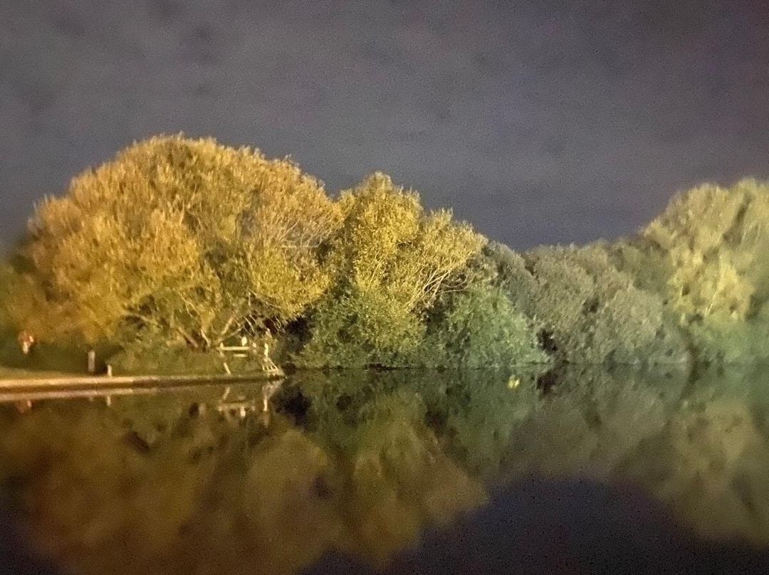 Norfolk Broads Direct景点图片