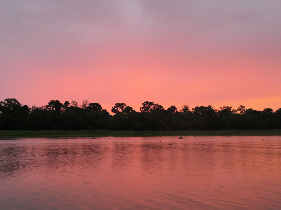 Yaku Amazon Lodge & Expeditions