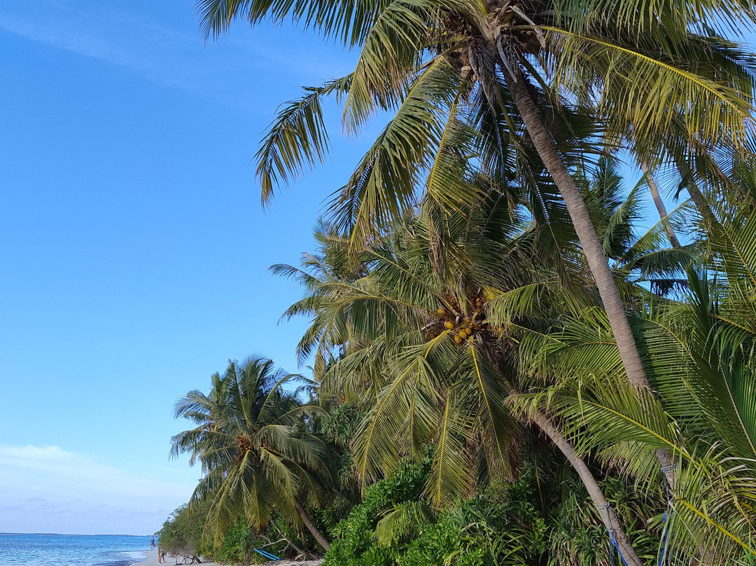 Tides Dhigurah主图