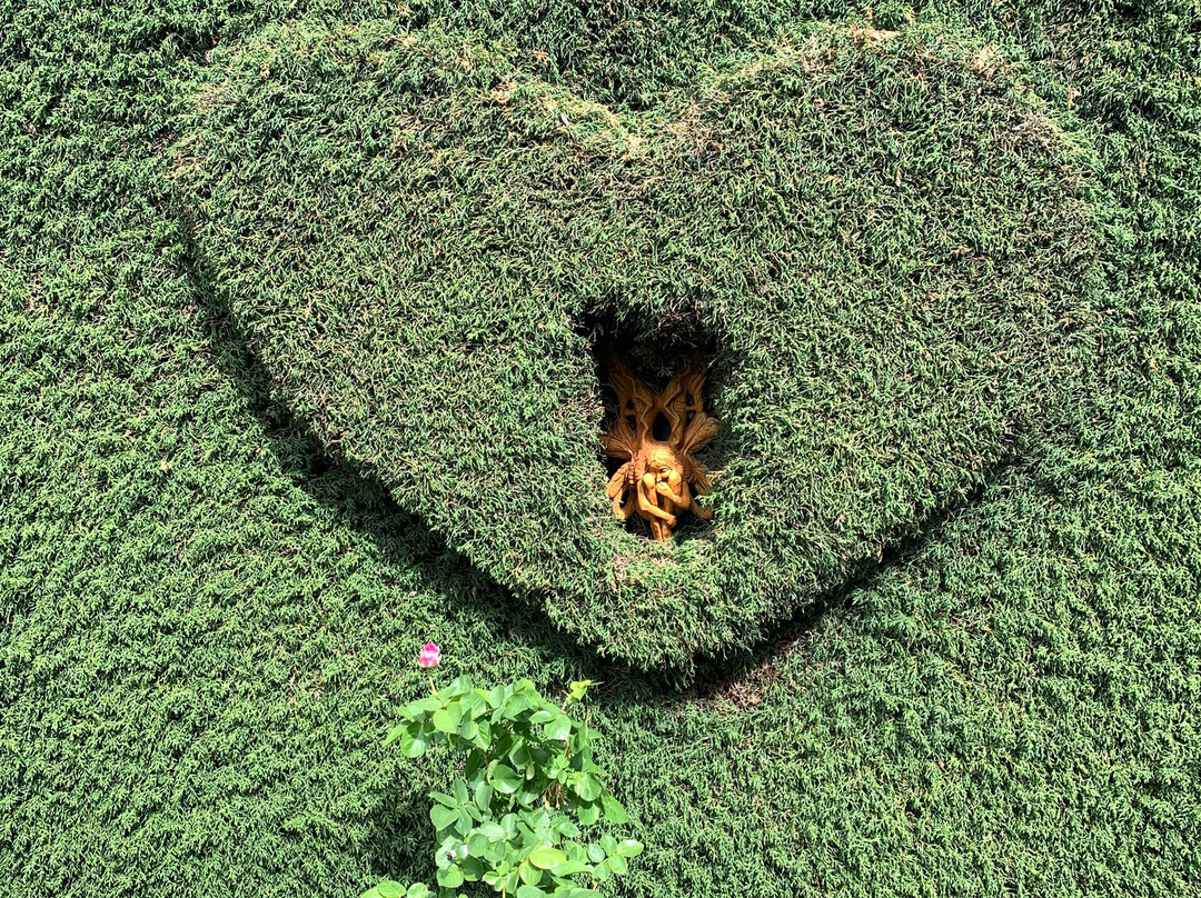 High Country Gardens, Gallery and Maze-Goughs Bay必去景点