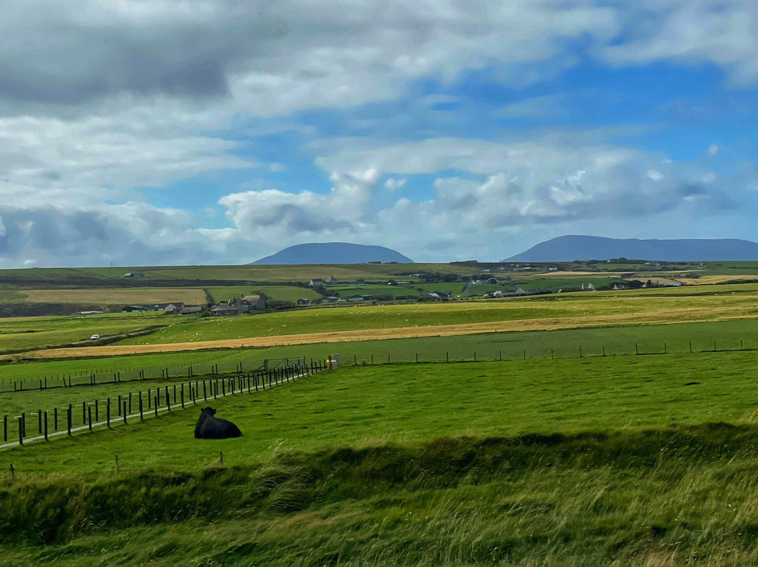 Maeshowe Chambered Cairn-Stenness必去景点