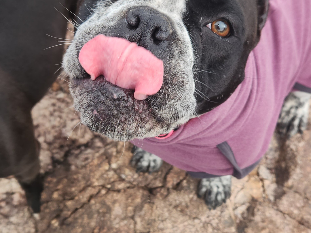 蒂哈查皮拉金塔酒店主图