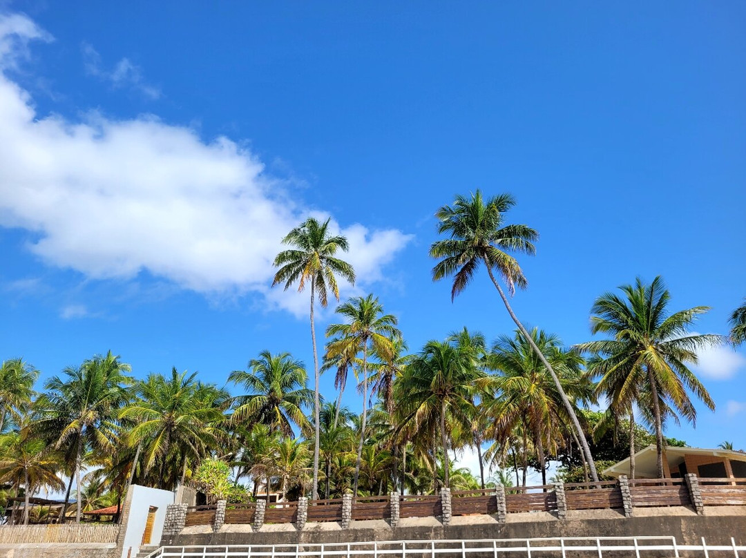 Pontal do Coruripe Beach-Coruripe必去景点