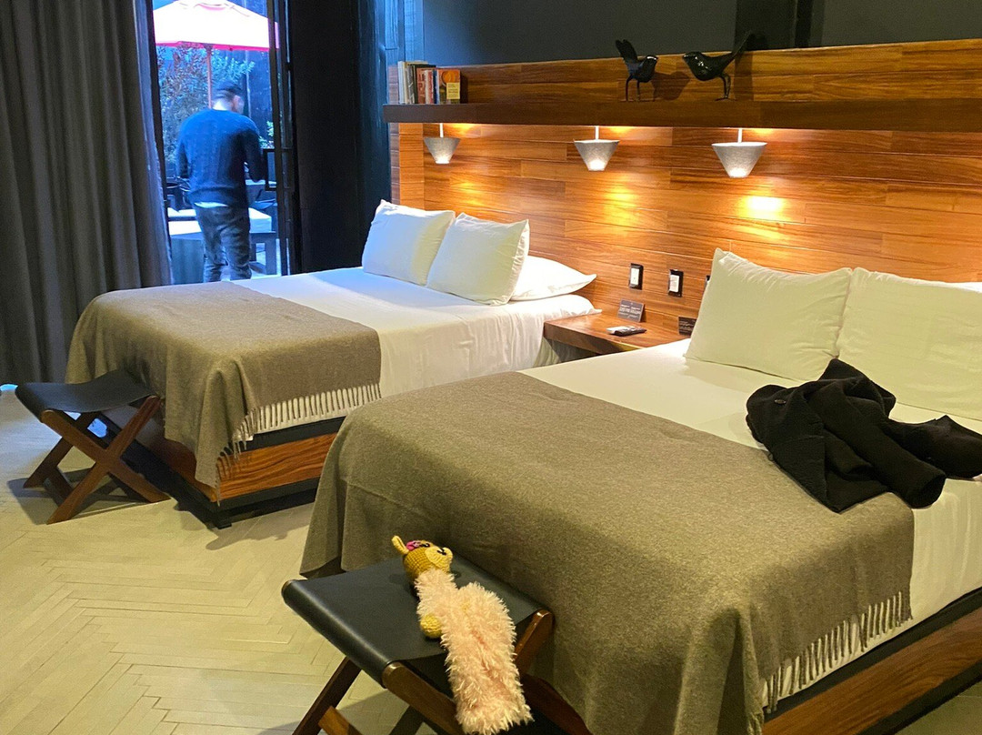 Hotel Elena de Cobre主图