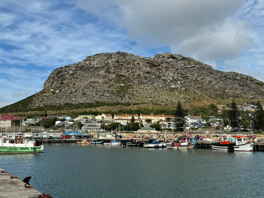 Alfies Adventures-Cape Point必去景点