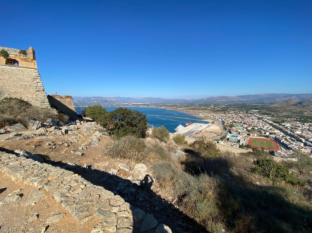 Amaryllis Hotel Apartment主图