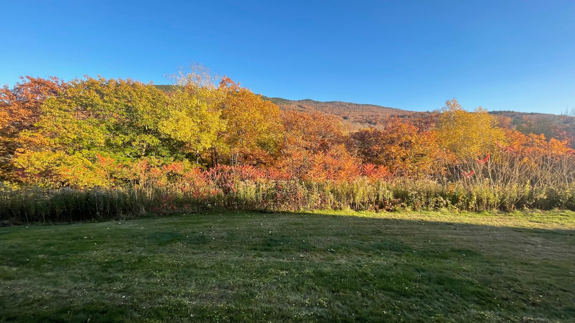 Mountain Valley Retreat B&B-官方