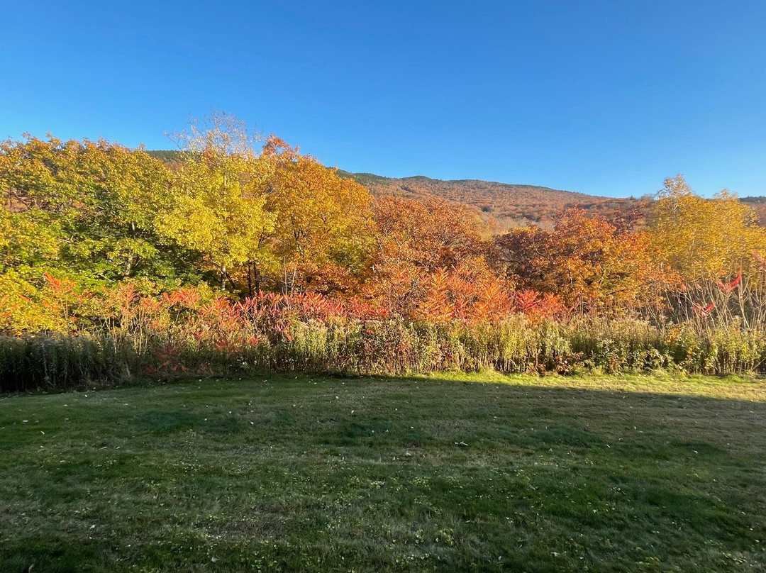 Mountain Valley Retreat B&B主图