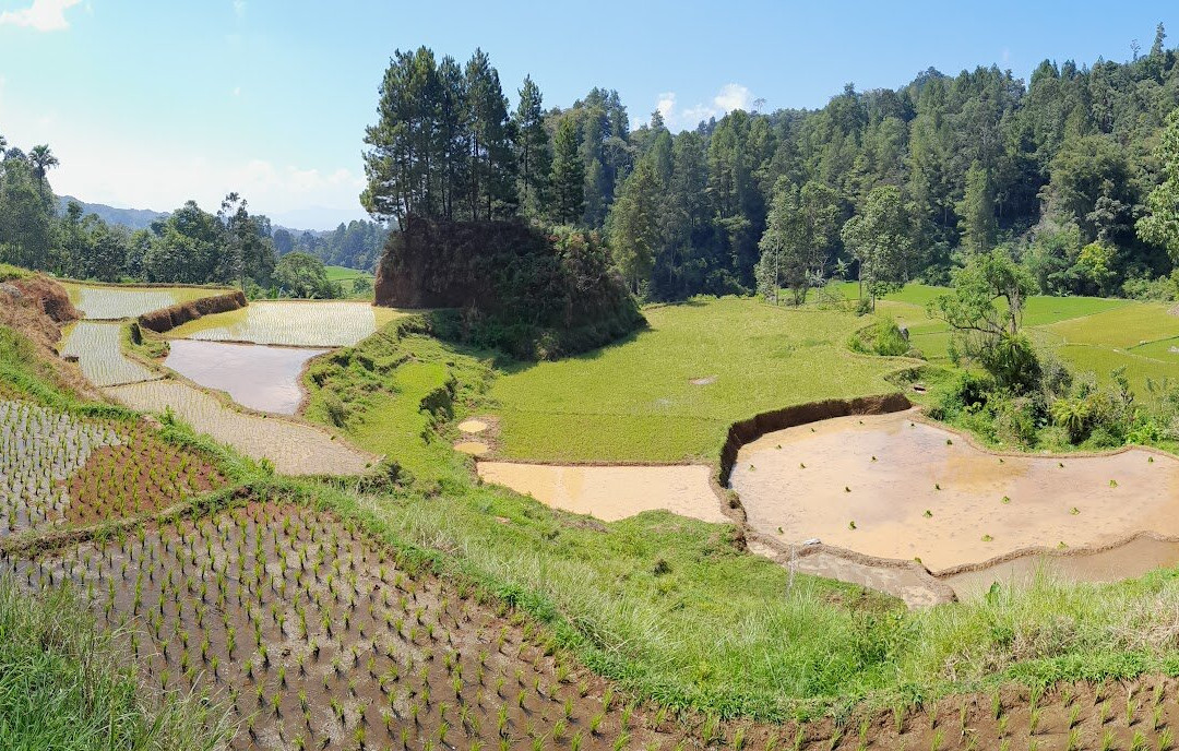 Local Guides - Tana Toraja景点图片
