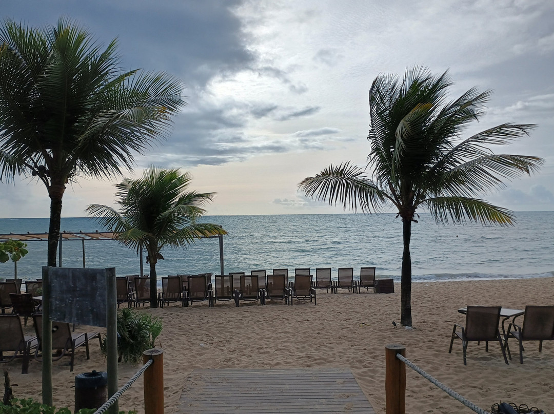 Muta Beach-Porto Seguro必去景点