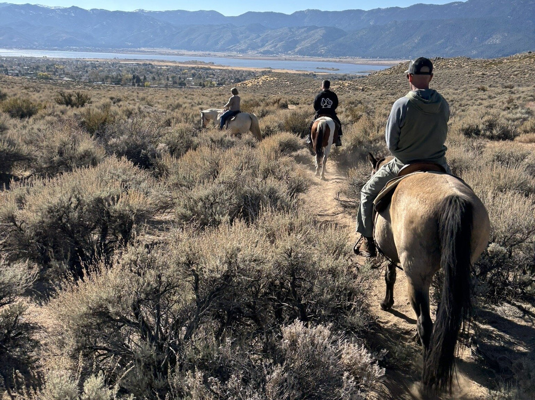 Heavenly Hoofprints-New Washoe City必去景点