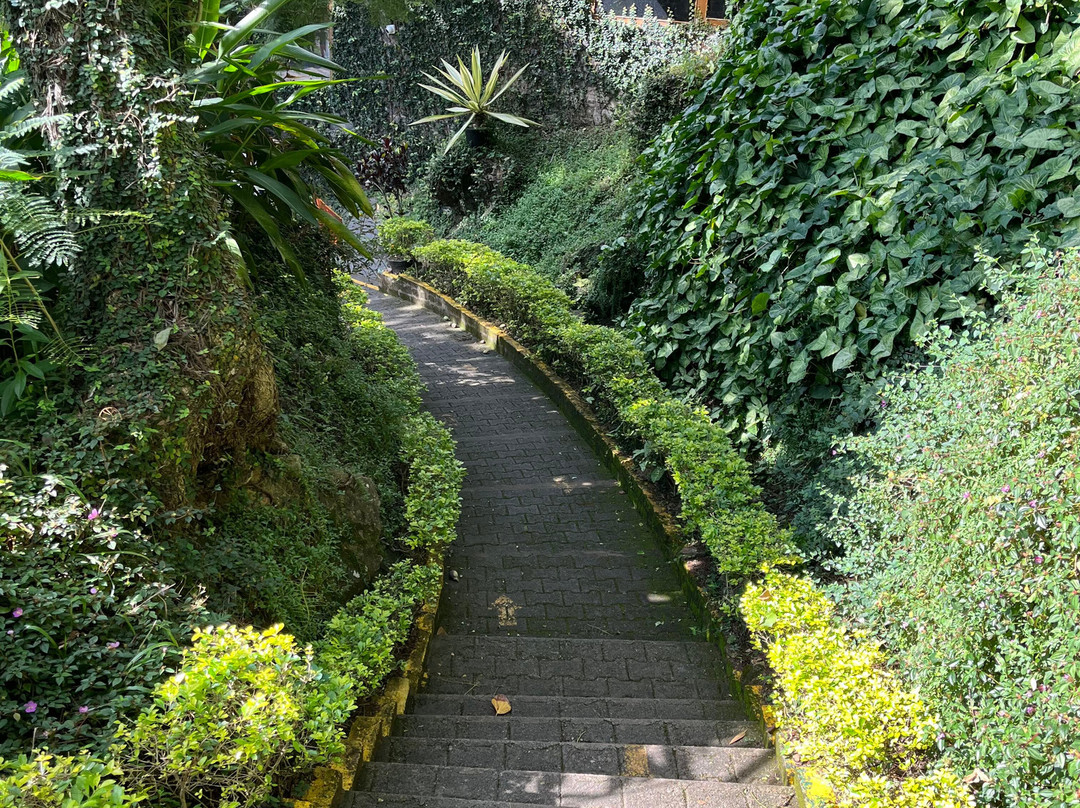 Great Trails Yercaud by GRT Hotels主图