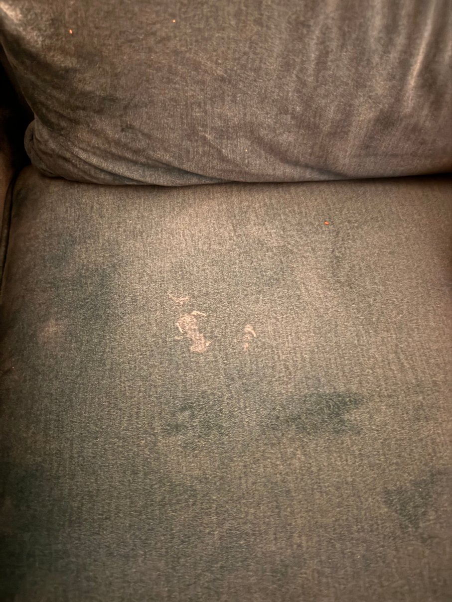 哈根美居酒店-客卧