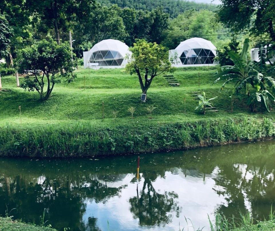 Panipa Organic Farm and Glamping