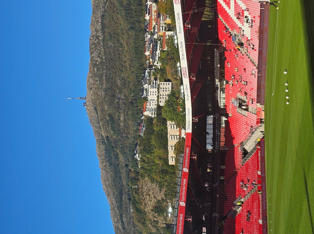 Brann Stadion景点图片