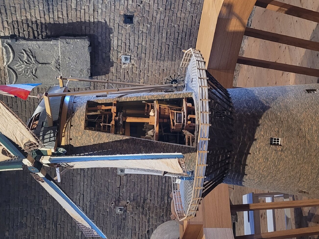 Museummolen de Walvisch景点图片