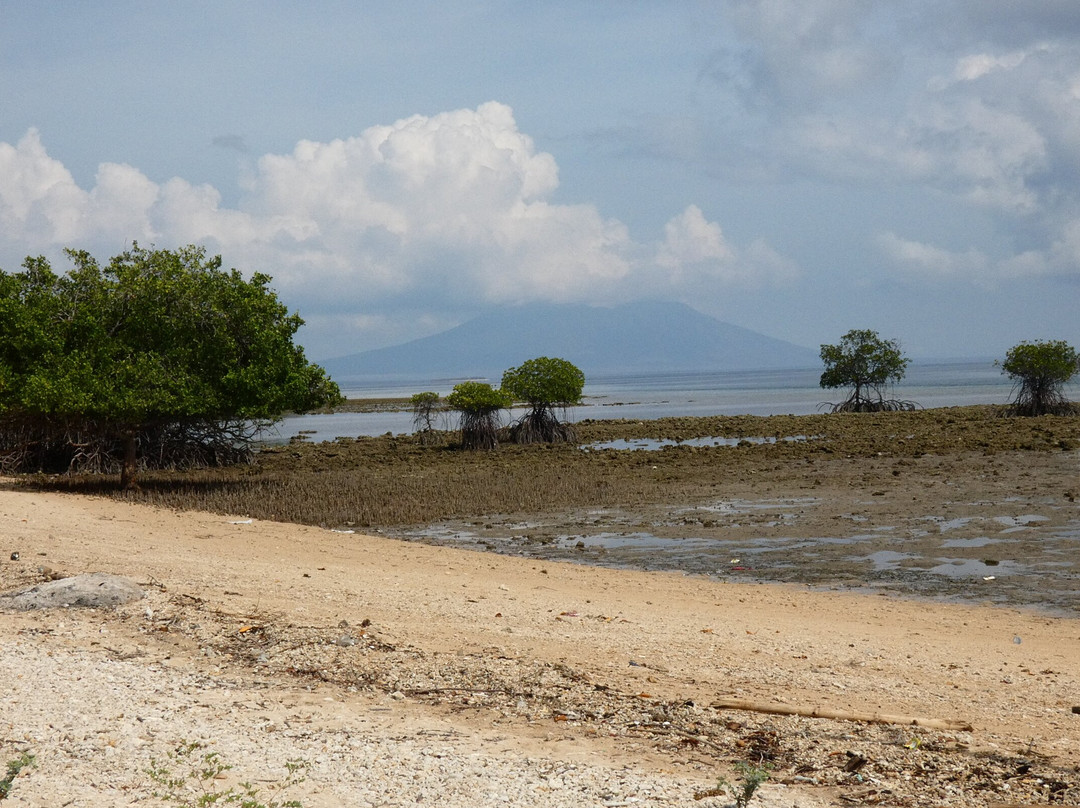 Menjangan Tour Snorkeling & Diving景点图片