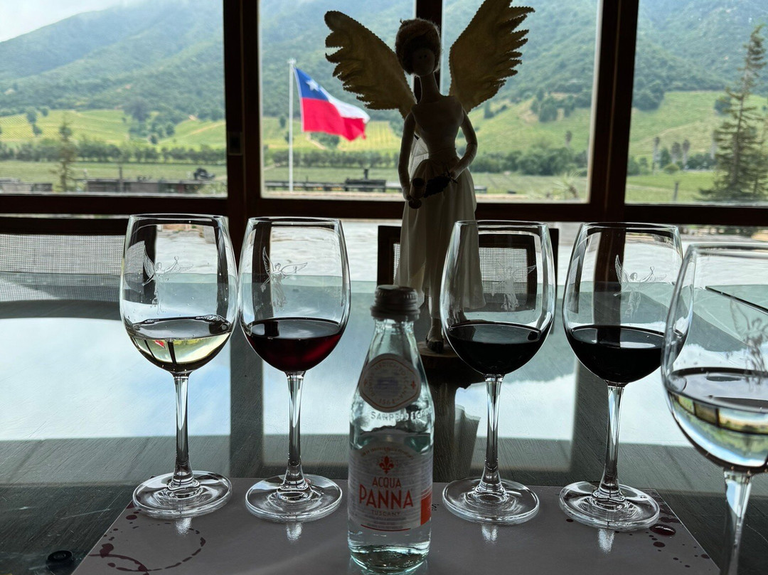 Queulat Expediciones-圣地亚哥必去景点