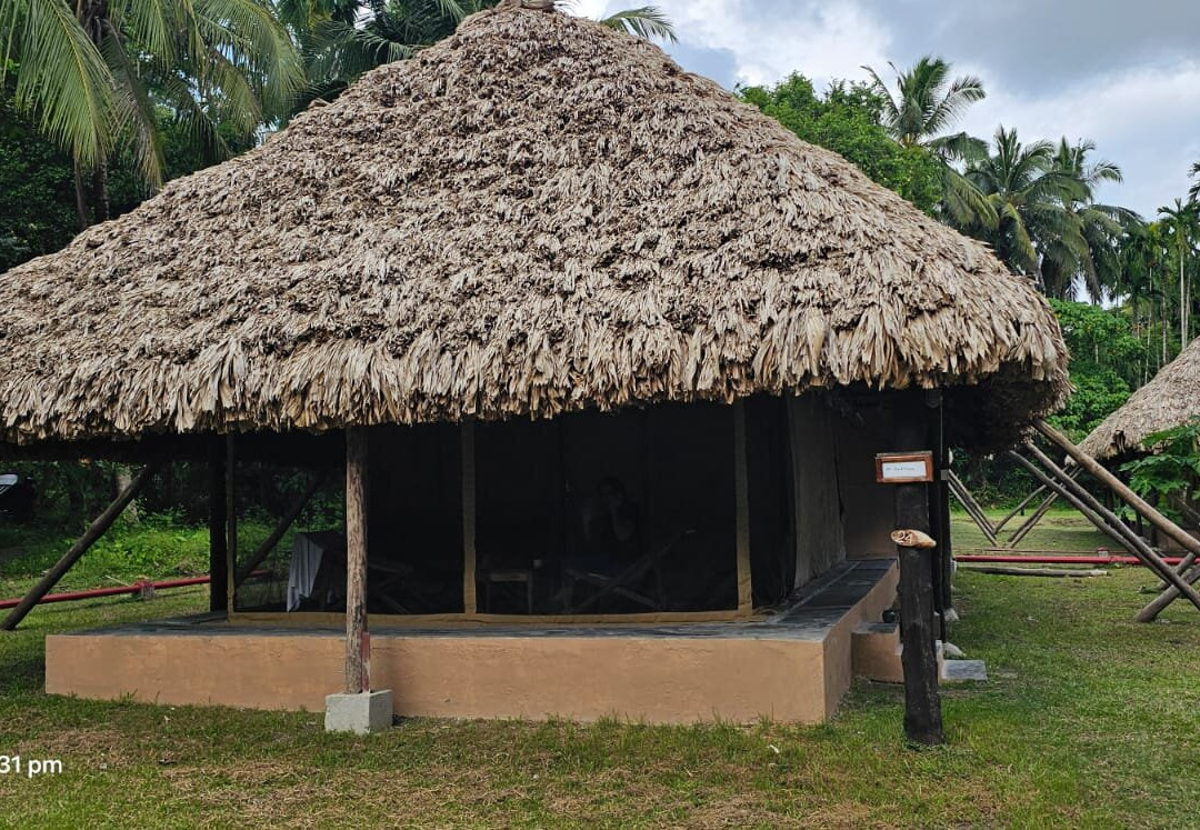 哈夫洛克赤脚酒店主图