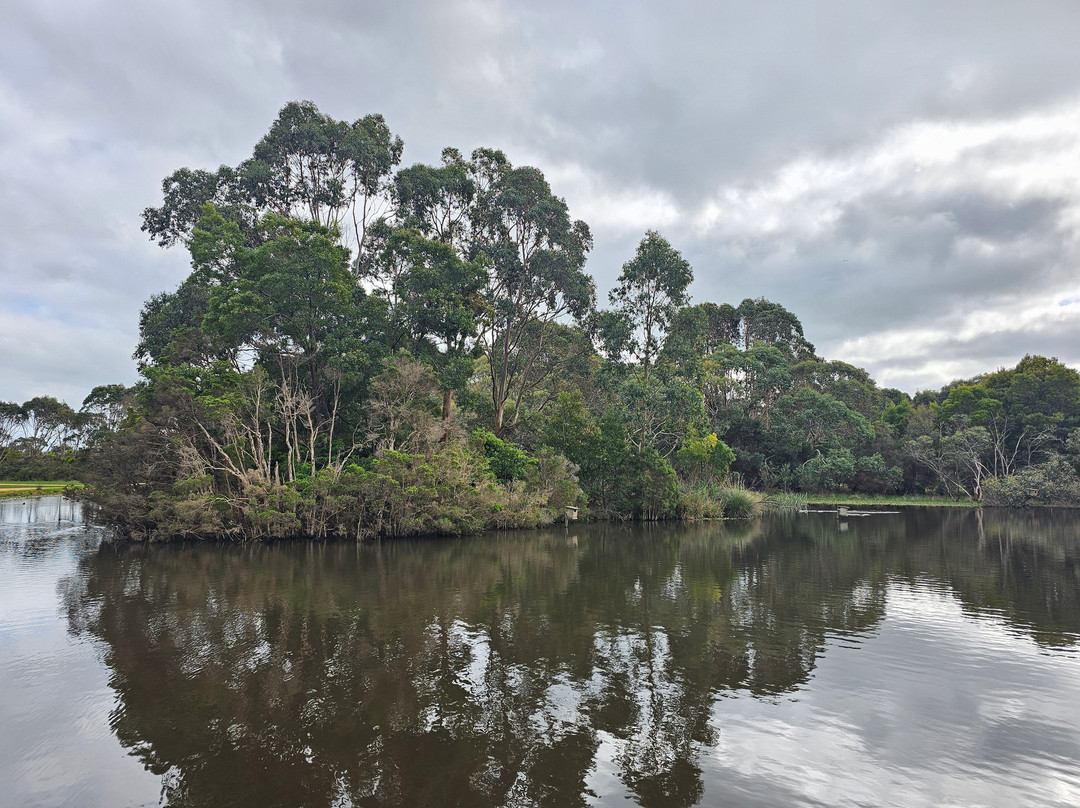 Wonthaggi Wetlands Reserve景点图片