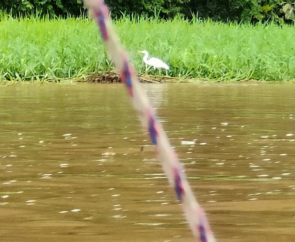 Caribbean Paradise Eco-Lodge主图