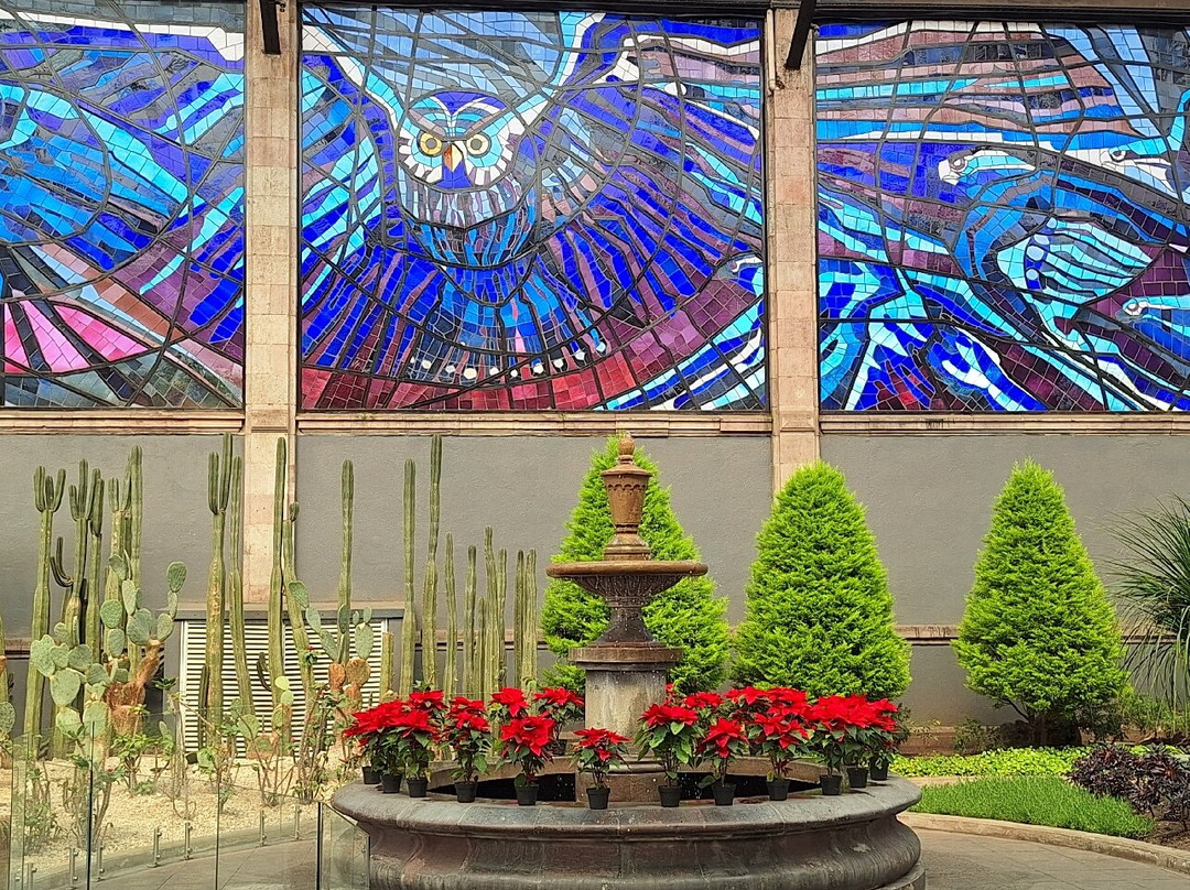Cosmovitral Jardín Botánico景点图片