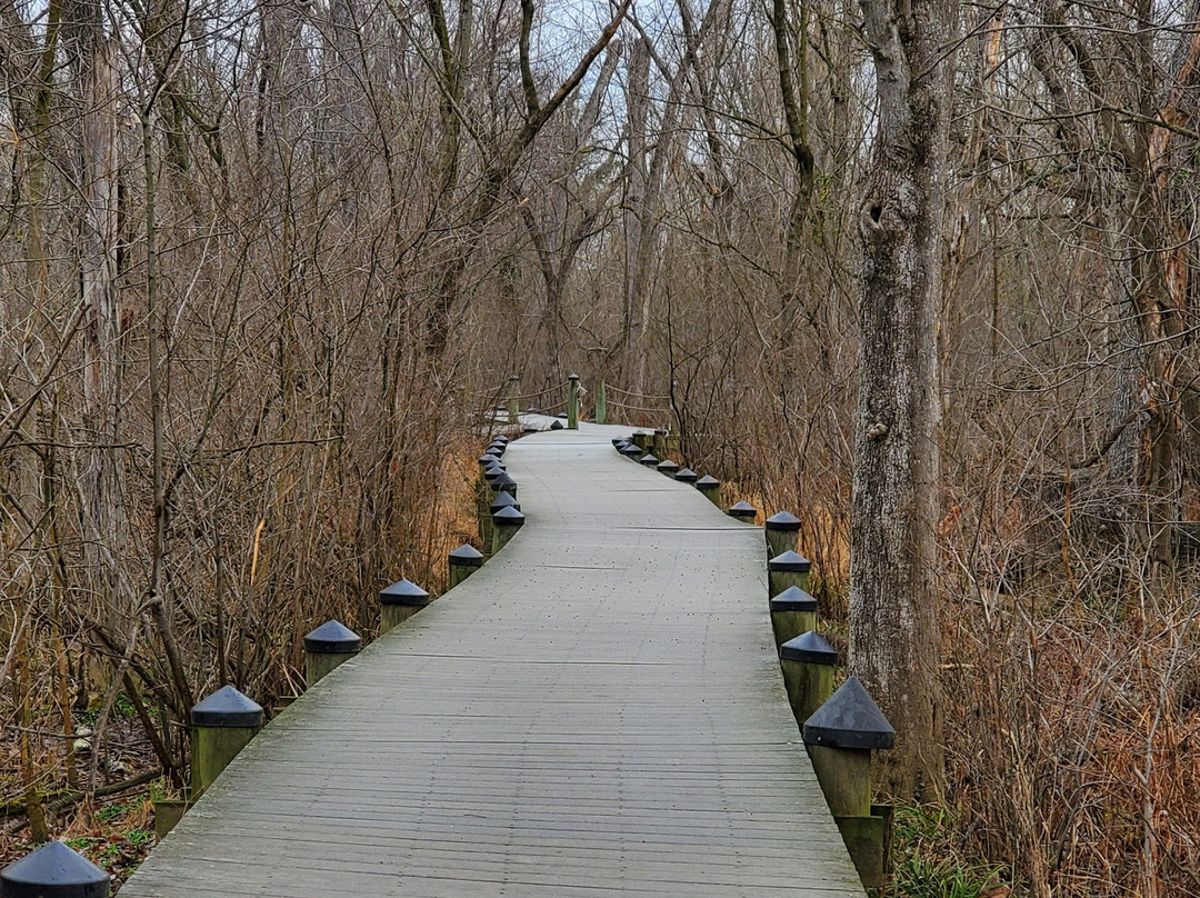 Mount Vernon Trail-阿灵顿必去景点