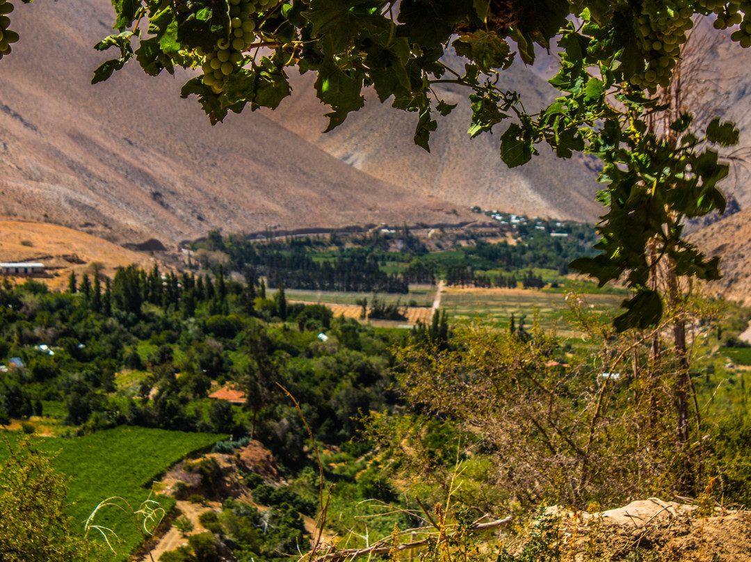 Ecoturismo La Serena-拉塞雷纳必去景点
