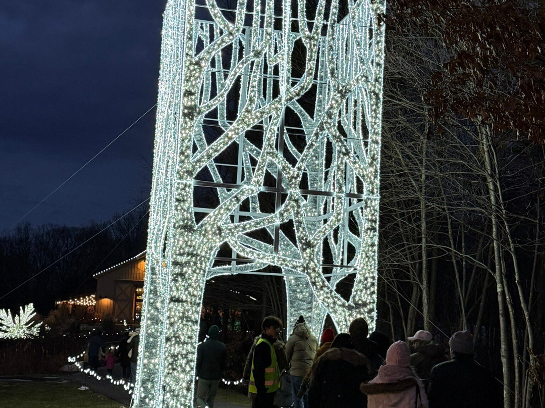 LaBelle Lights At Labelle Winery景点图片