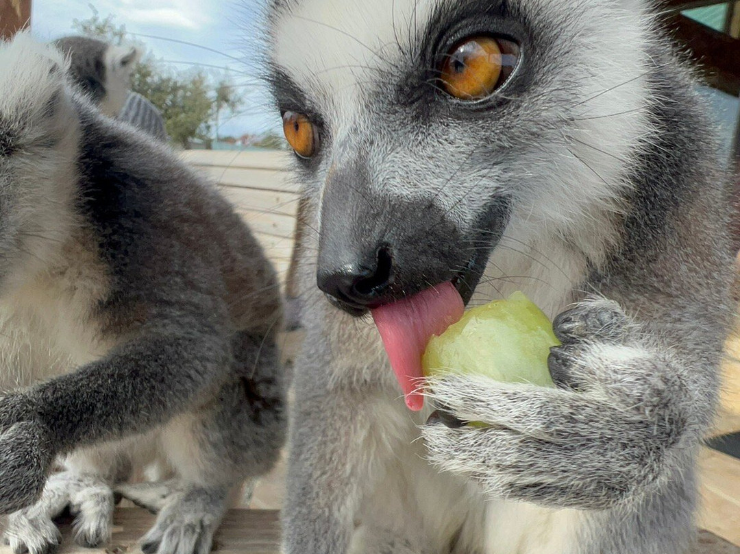 Dragonstone Ranch-Gatesville必去景点