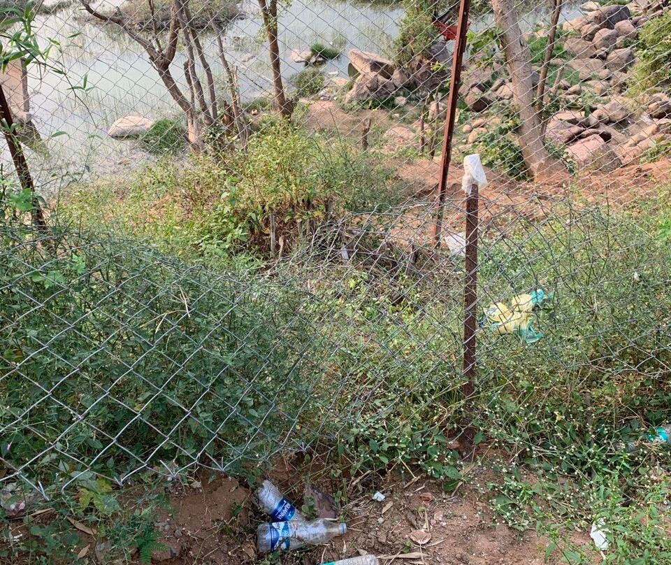 Panna Tiger Resort主图