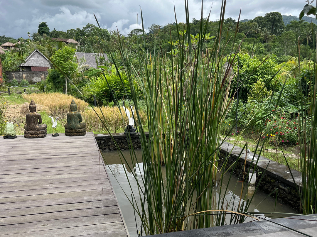 Anandinii Organic Garden & Kitchen景点图片