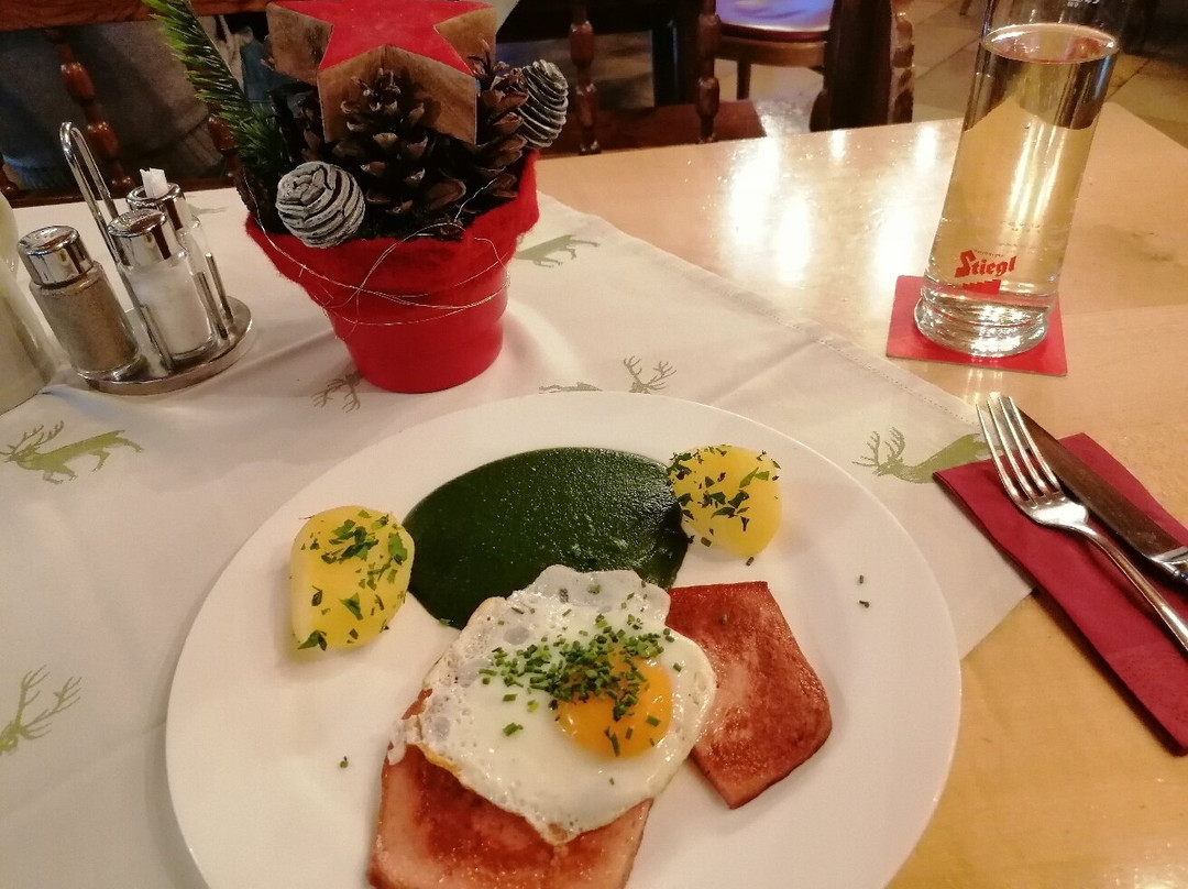 Hotel Gasthof Kamml主图