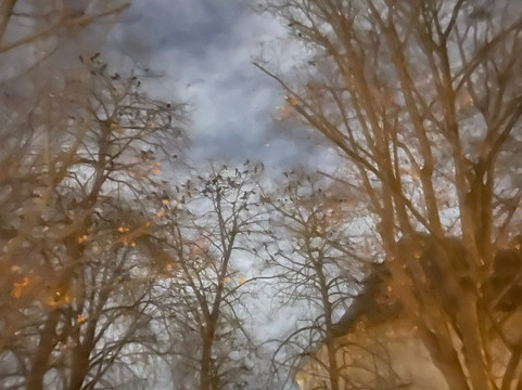 Gruseltour Berlin-柏林必去景点